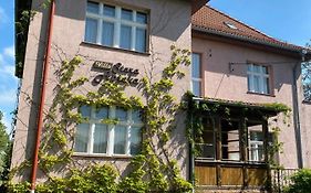 Villa Stara Apteka